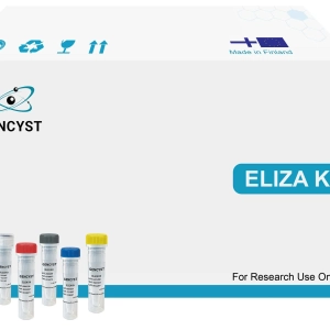 Rat NT-ProANP(N-Terminal Pro-Atrial Natriuretic Peptide) ELISA Kit