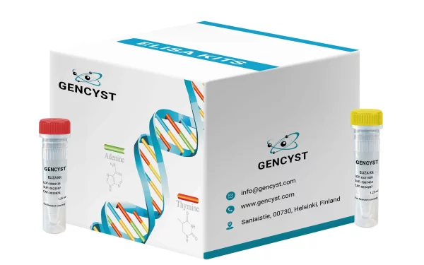 Human RLN-Relaxin ELISA Kit