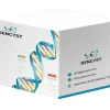 Plasmid Miniprep Kit