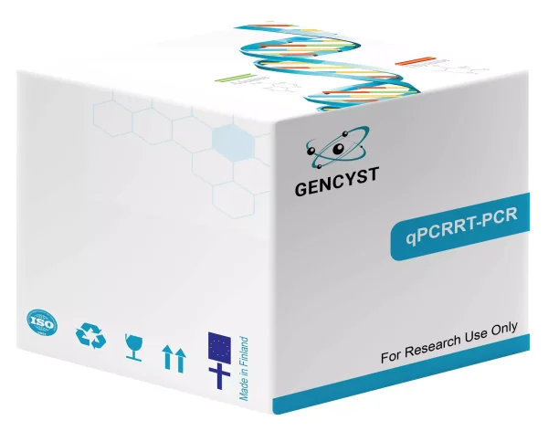 EntiLink 1st Strand cDNA Synthesis Kit +gDNA Eraser