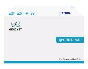 EntiLink Reverse Transcriptase