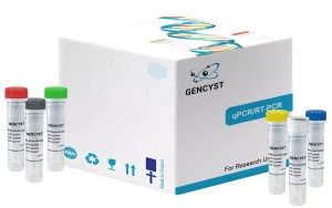 Pfu DNA Polymerase