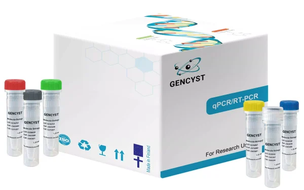 Pfu DNA Polymerase