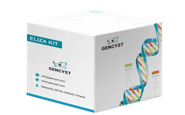 Human Slit2-Slit Homolog 2 ELISA Kit