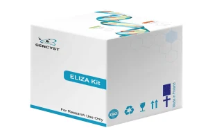 Human ADM-Adrenomedullin ELISA Kit