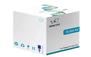 Human IL24-Interleukin 24  ELISA Kit