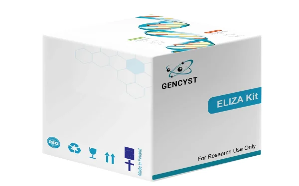 Human IL24-Interleukin 24  ELISA Kit