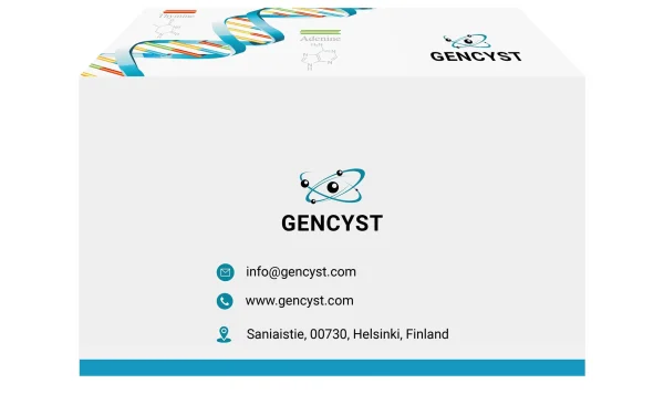 Human PIA-Peptidylprolyl Isomerase A ELISA Kit