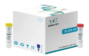 Rat PLGF-Placenta Growth Factor ELISA Kit