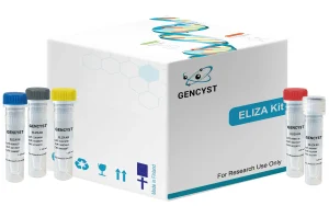 Human FDP-Fibrinogen Degradation Product  ELISA Kit